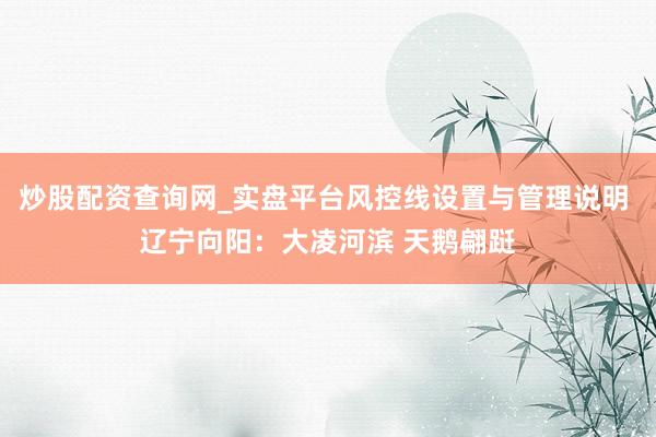 炒股配资查询网_实盘平台风控线设置与管理说明 辽宁向阳：大凌河滨 天鹅翩跹