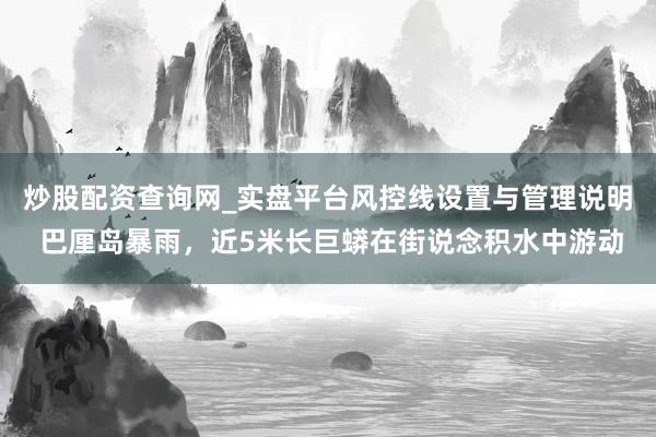 炒股配资查询网_实盘平台风控线设置与管理说明 巴厘岛暴雨,近5米长巨蟒在街说念积水中游动