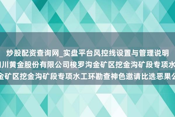 炒股配资查询网_实盘平台风控线设置与管理说明 四川黄金招标恶果:四川黄金股份有限公司梭罗沟金矿区挖金沟矿段专项水工环勘查神色邀请比选恶果公示