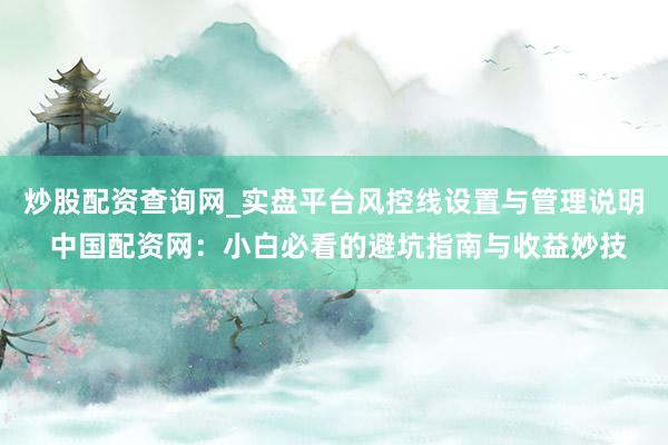 炒股配资查询网_实盘平台风控线设置与管理说明 中国配资网：小白必看的避坑指南与收益妙技